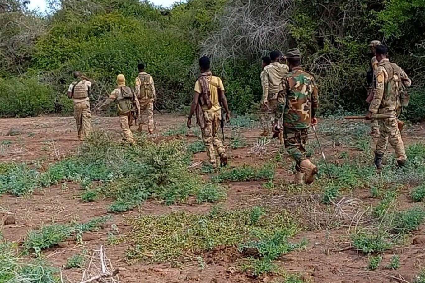 Somali national army claims its troops kill at least 40 al-Shabaab members